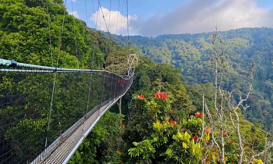 Nyungwe National Park Best Places to visit